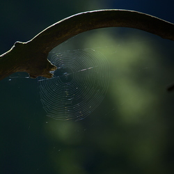 Natur