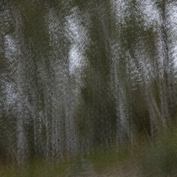 ICM experimental
